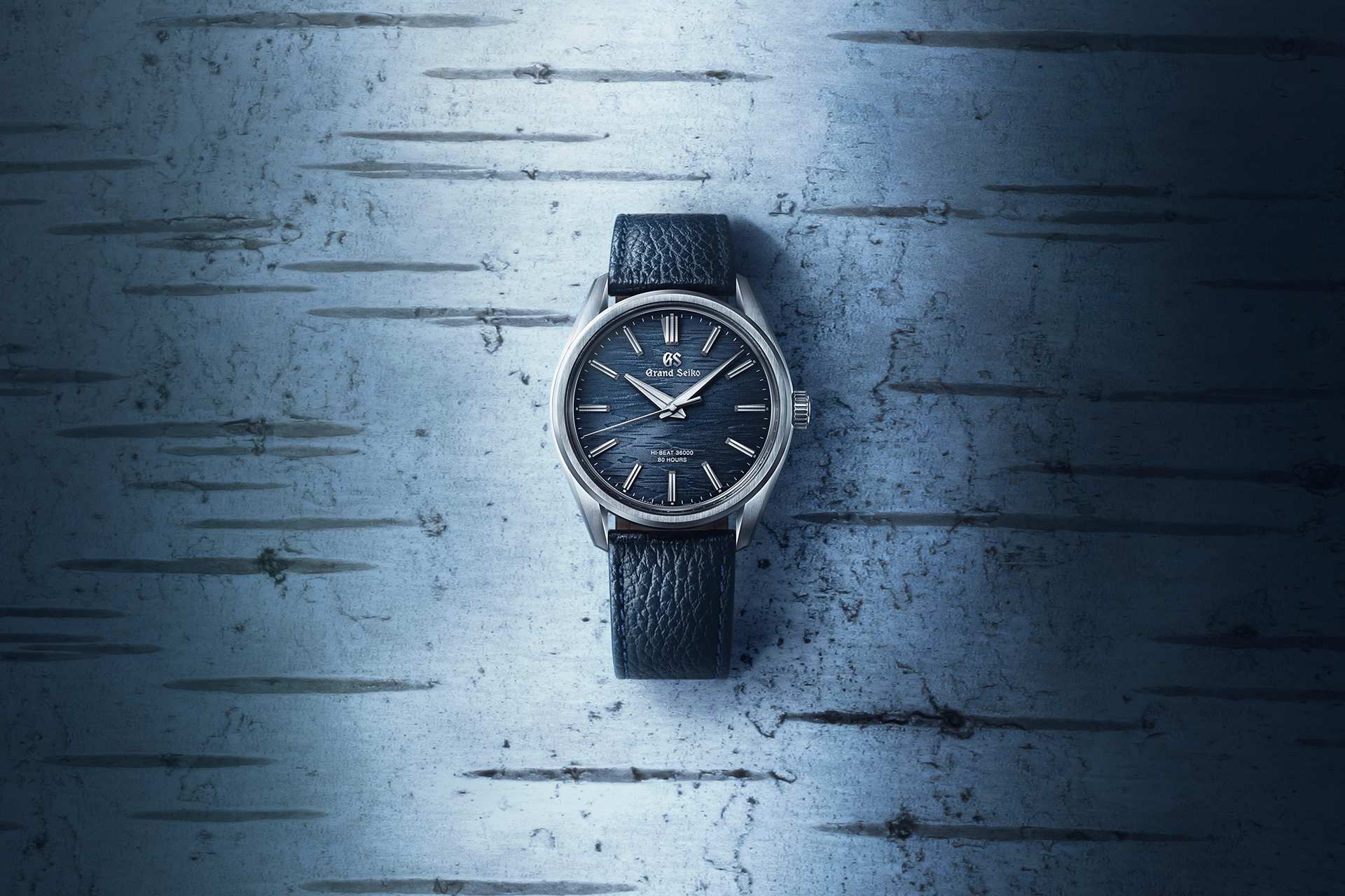 Evolution 9 High Beat 38,6 "Moonlit Birch Bark" - Grand Seiko Detailansicht