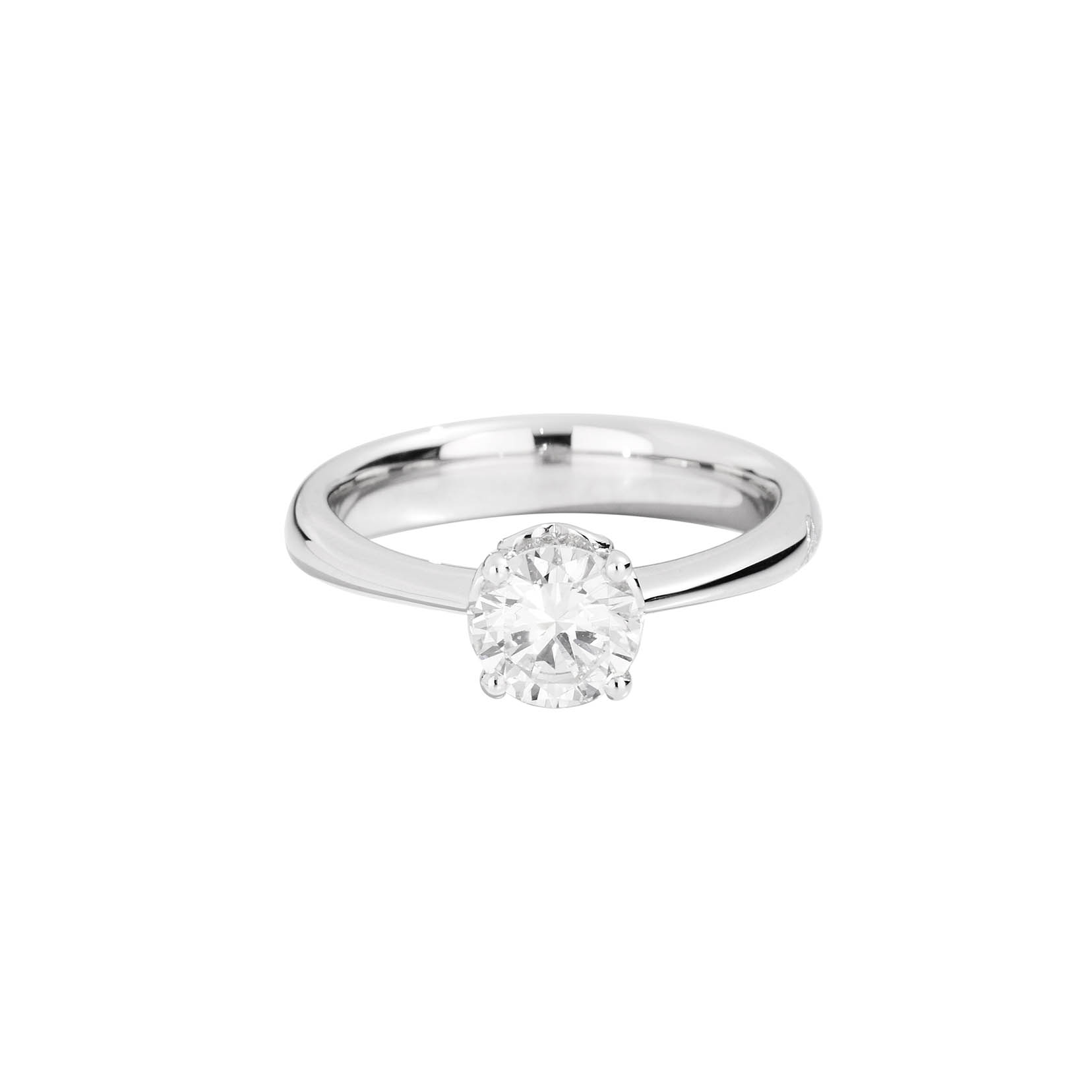 Bridal Anniversary Arctic Gold - Recarlo