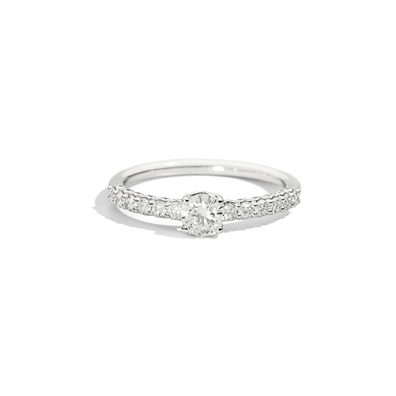 Bridal Anniversary Arctic Gold - Recarlo