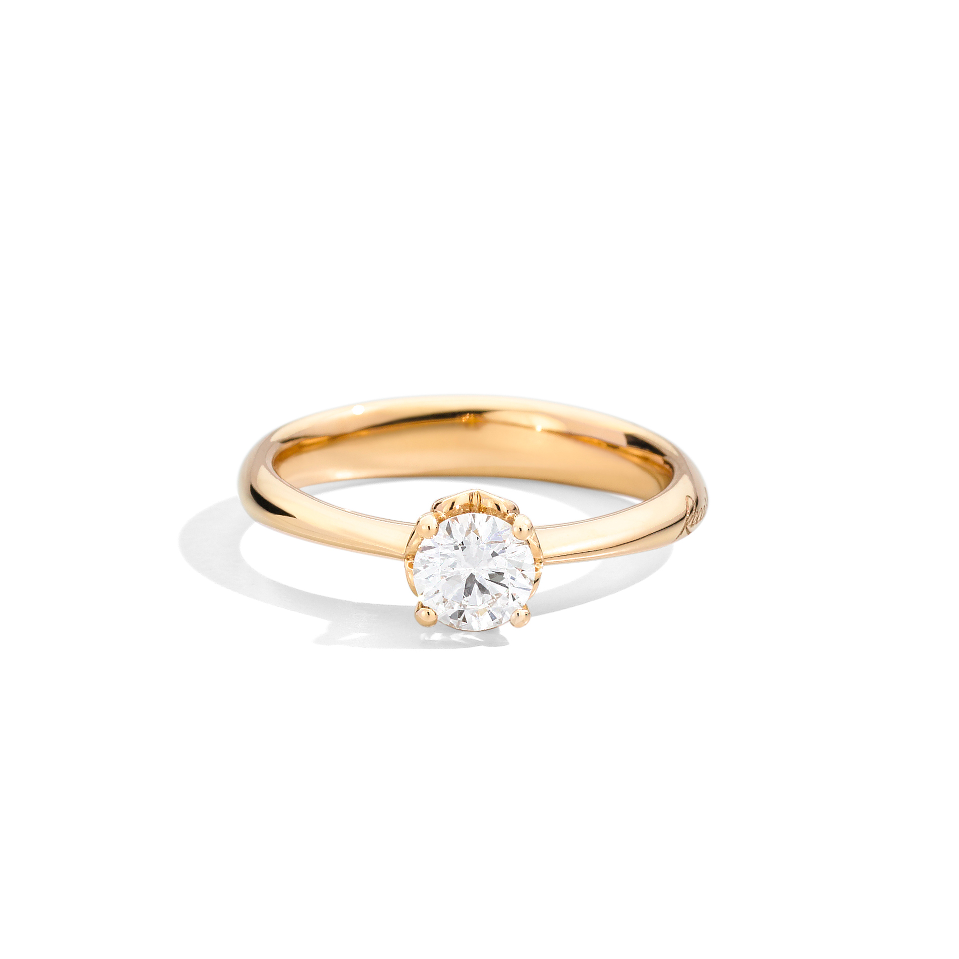 Bridal Anniversary Sunset - Recarlo